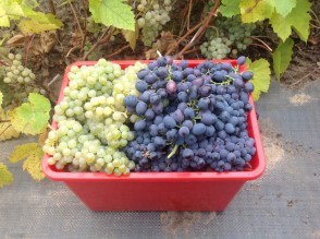 image (2)8